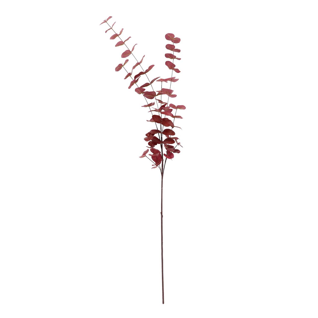 12 Pack: 46' Tall Burgundy Eucalyptus Stem by Ashland®